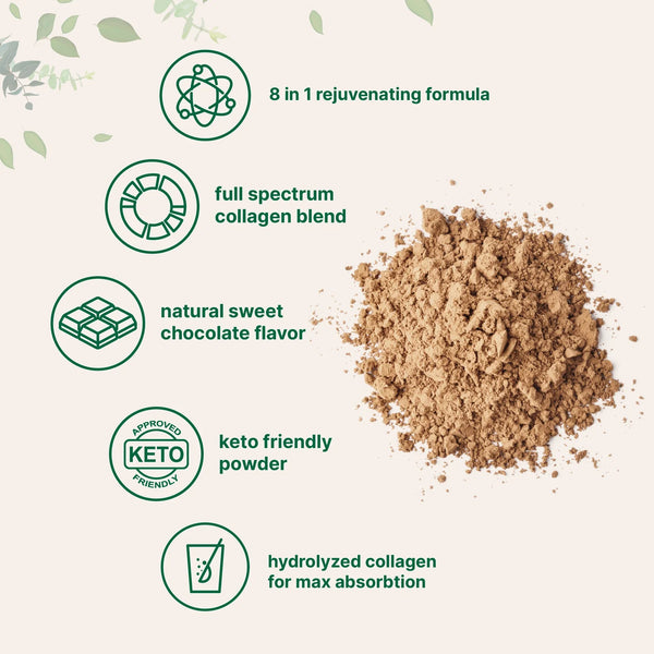 Collagen_3_ab979d69-b80e-482a-98b1-58b03df83289.webp